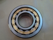 FAG  Cylindrical roller bearings SL014838